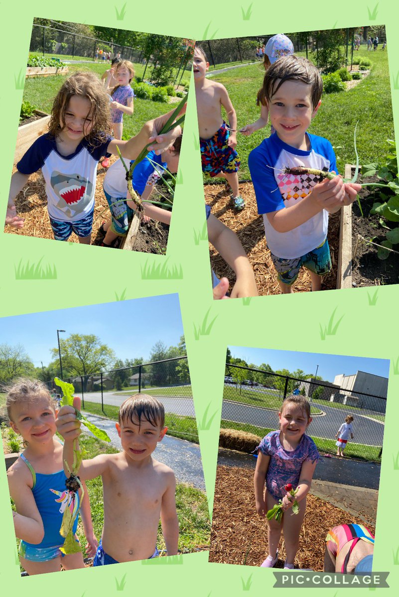 Madison Nicholson tweet media