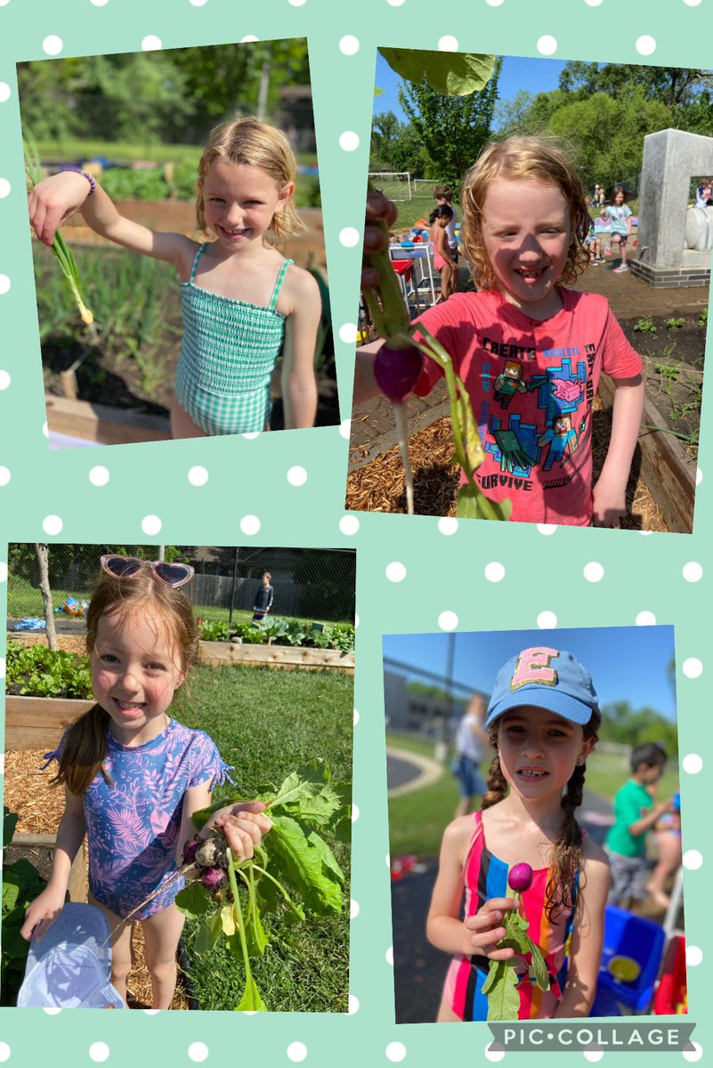 Madison Nicholson tweet media