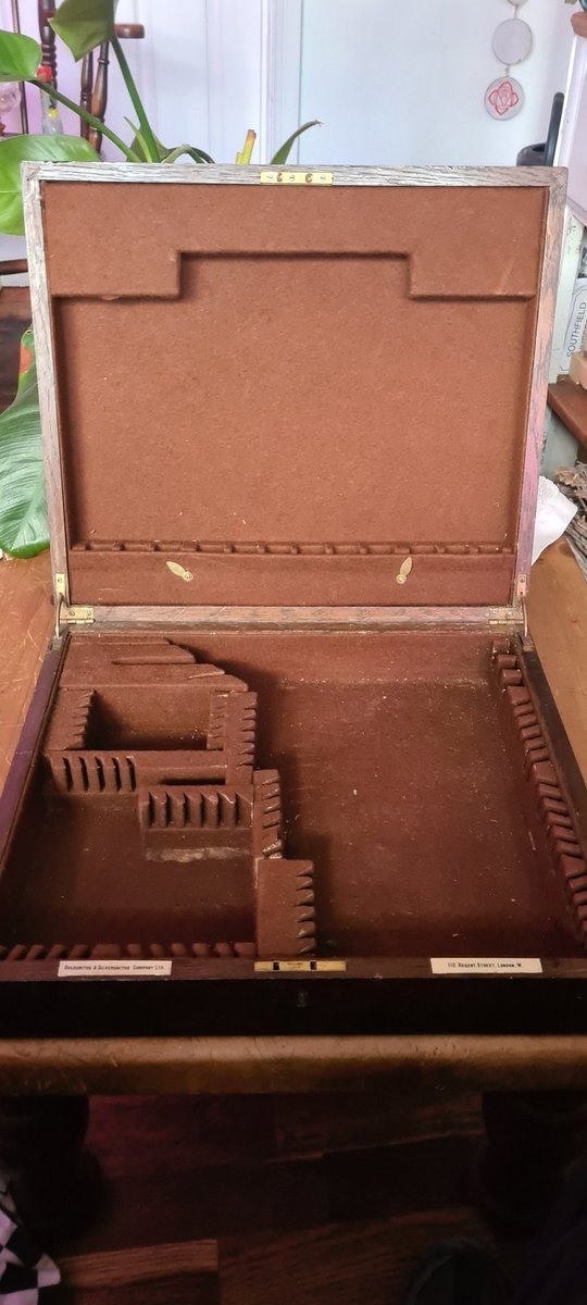 owen tomalin tweet media