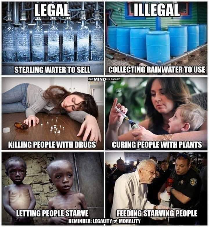 OrganicLiveFood's tweet photo. When a tiny cabal seizes power, it creates a #mafia economy and a mafia state: https://t.co/XMzcApnBQy #Drugs #corporatism https://t.co/2TGeT5qyd9