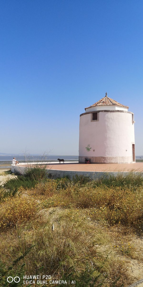 CulinariaOutono's tweet photo. Trilhos de portugal

Praia dos moinhos em alcochete https://t.co/6Ls8F7TOVs