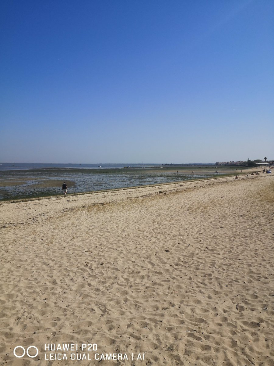 CulinariaOutono's tweet photo. Trilhos de portugal

Praia dos moinhos em alcochete https://t.co/6Ls8F7TOVs