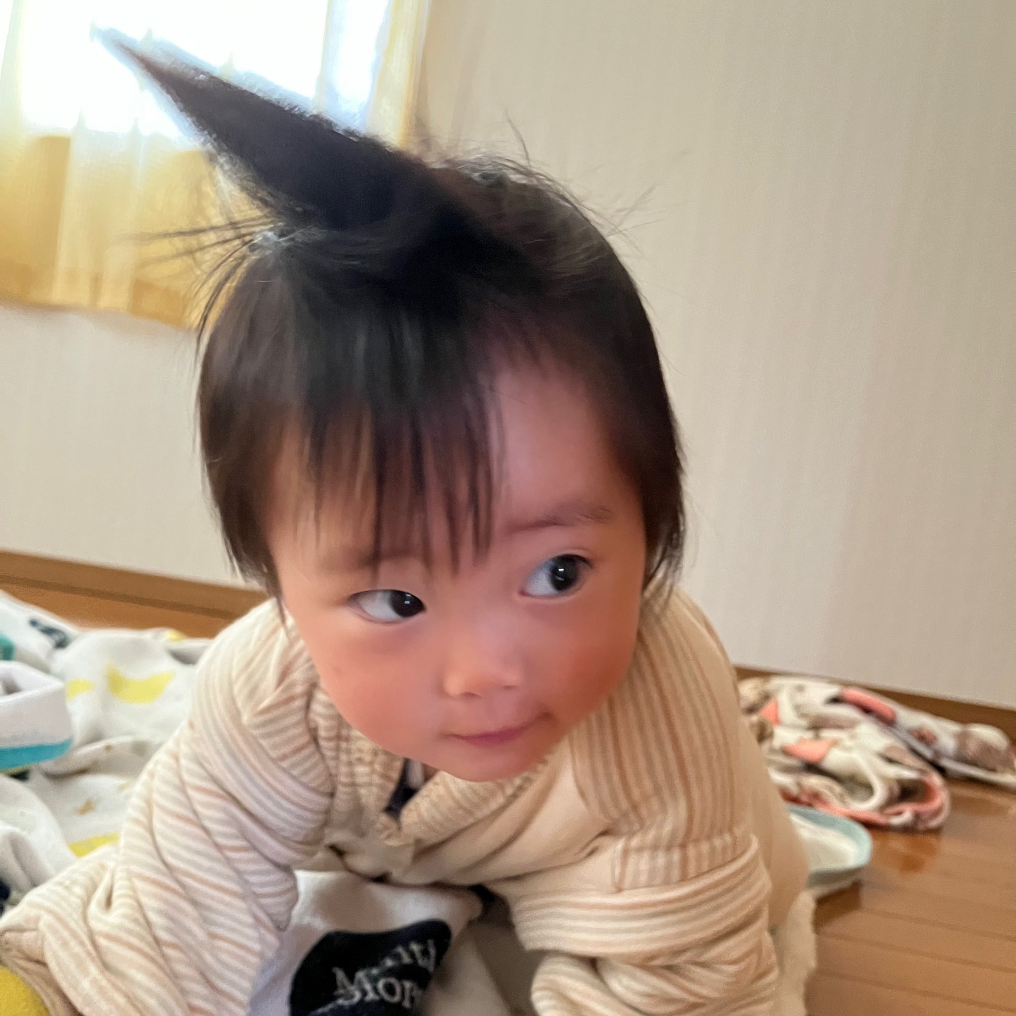 みんまーる おはまーる りんまーるの寝癖が可愛い件について 1歳男の子 T Co N4s5esnezc Twitter
