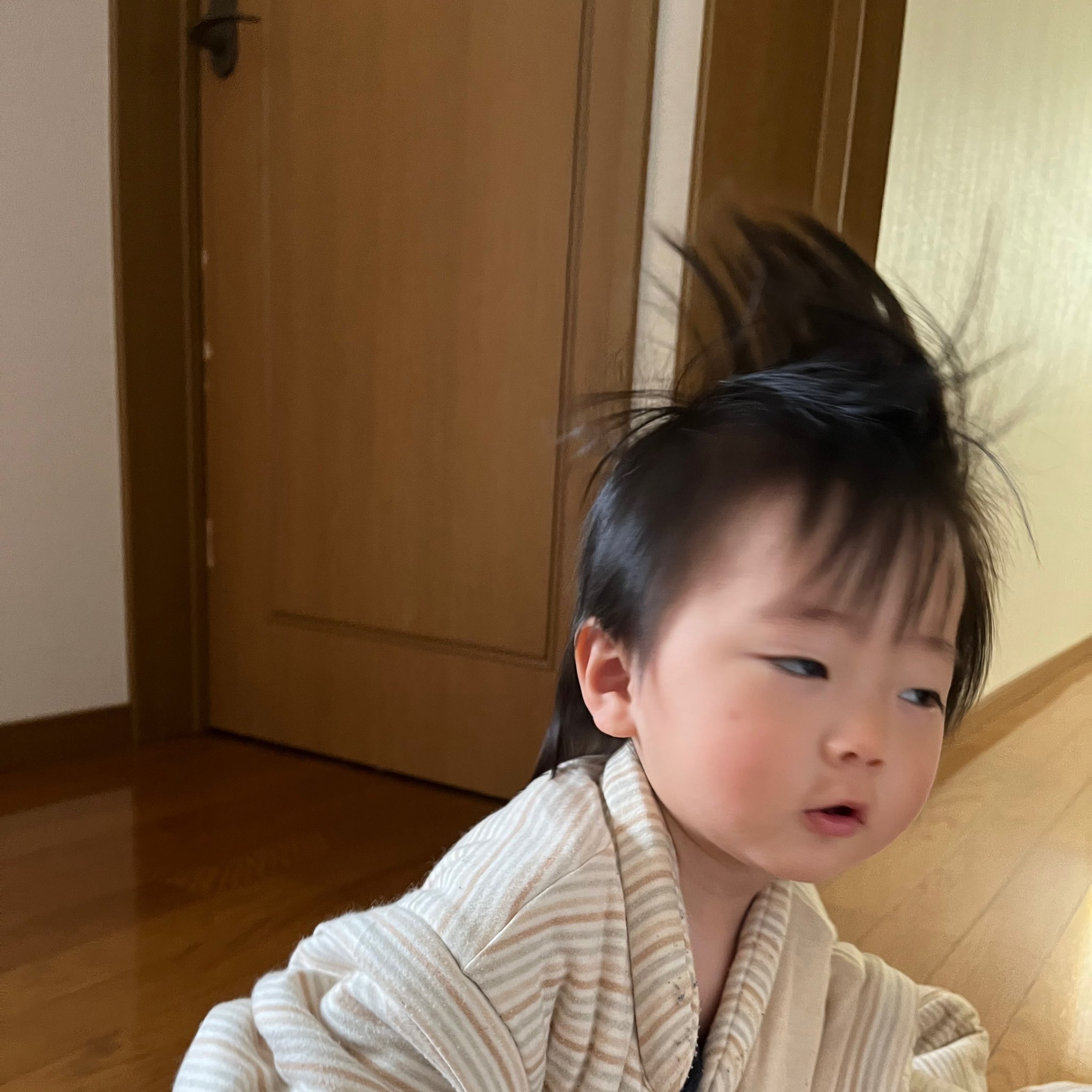 みんまーる おはまーる りんまーるの寝癖が可愛い件について 1歳男の子 T Co N4s5esnezc Twitter