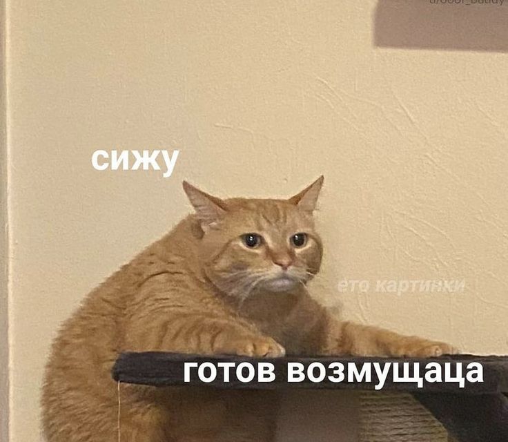 mayofthevalley's tweet photo. Ждем результатов примерно так
#Eurovision https://t.co/1WEx96rOVE