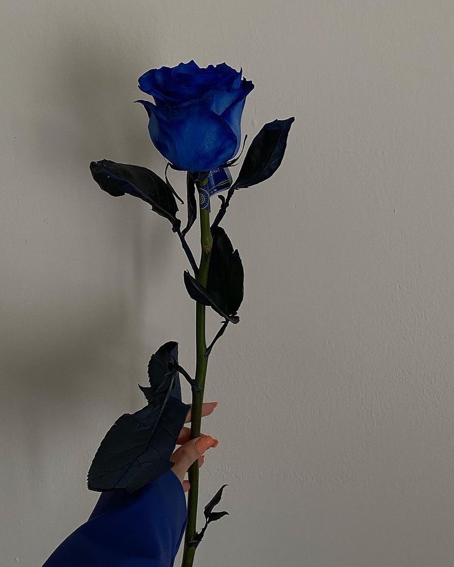 shaine_smith19's tweet photo. Because love conquers all 💙 https://t.co/ky4jyRLRYc