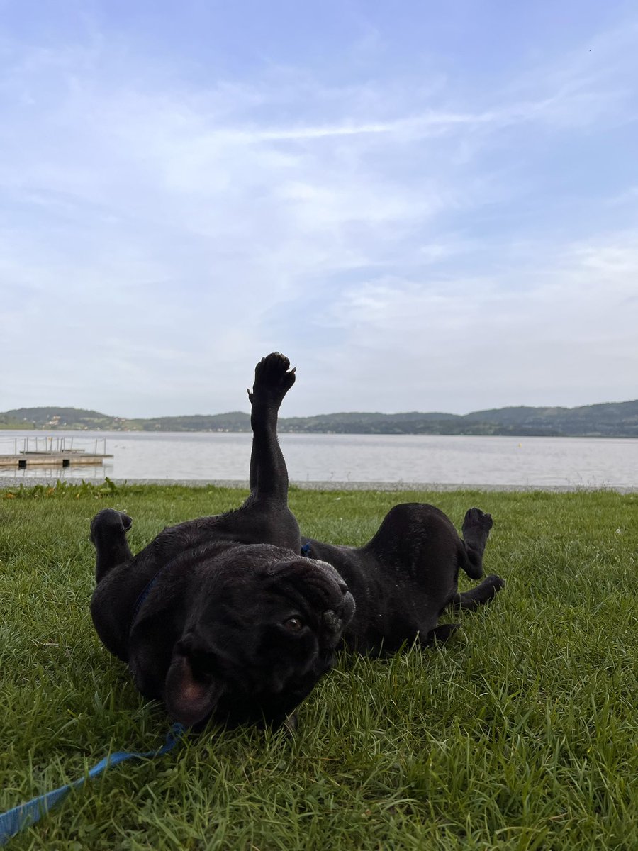 CarianiDebora's tweet photo. #viverone
#viveronelake https://t.co/E5QDJaDb5W