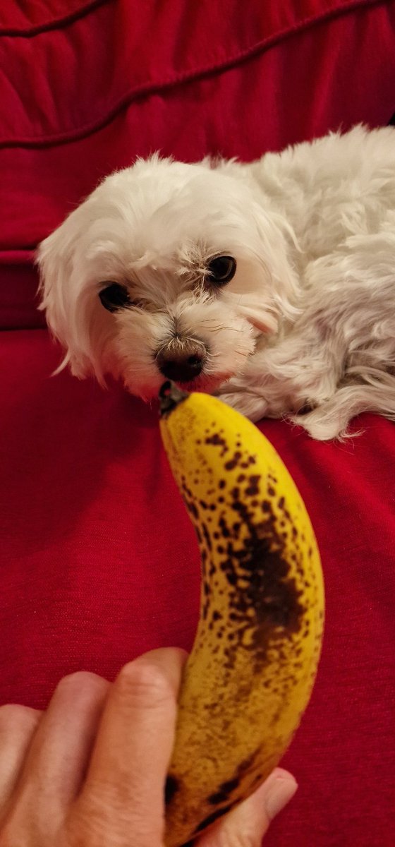 bianca_fritz's tweet image. Welchen #esc -Hit erkennt ihr hier? #Eurovision2022 #Eurovision