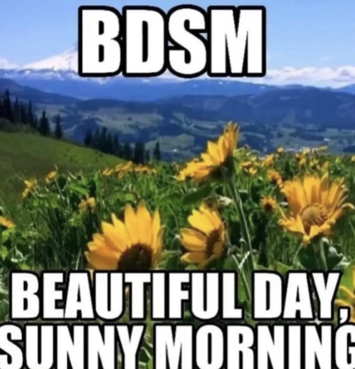 memes4love1's tweet photo. https://t.co/wTojBroLJt