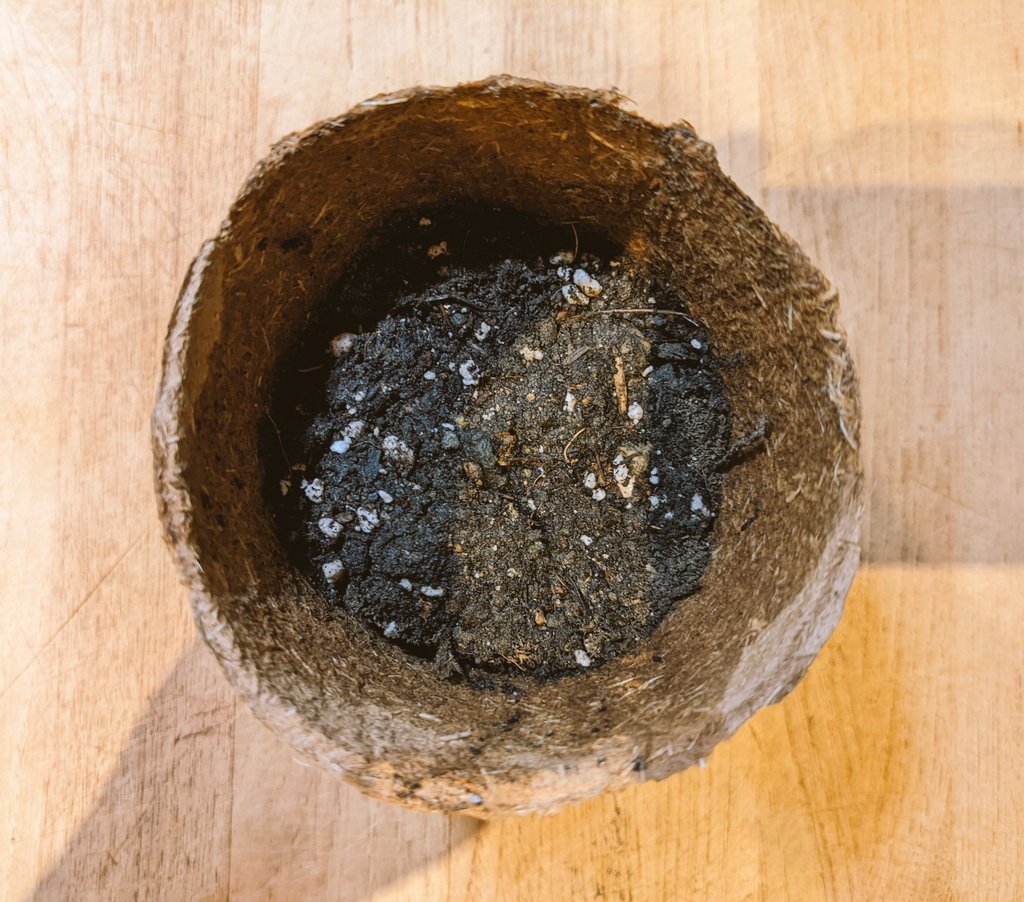 carolevaneyll's tweet photo. Inspiring speeches today @ #TEDxBrussels such as on

👍 Optimism in the media
👍 Social inclusion &amp; Women in tech
👍 Carbon capture in soil &amp; in construction

Planting seeds in our pots &amp; in our brains 🌱🧠 https://t.co/9k3WknmKNN
