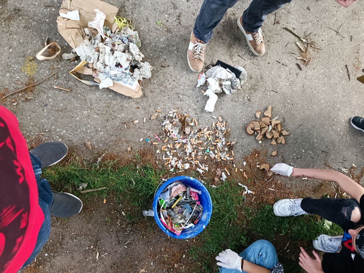 DPSG St. Ludwig tweet media