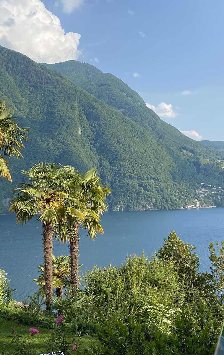 Vera Class tweet media