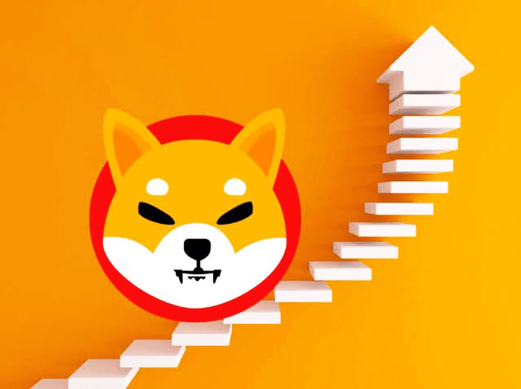 #SHIBA  Reaches One Dollar Step By Step. One Hundred Percent is a Dollar,Unless You Say The Sun is Never in The Sky🤞
<a href="/Shibtoken/">Shib</a> BUY &amp; HOLD $SHIB