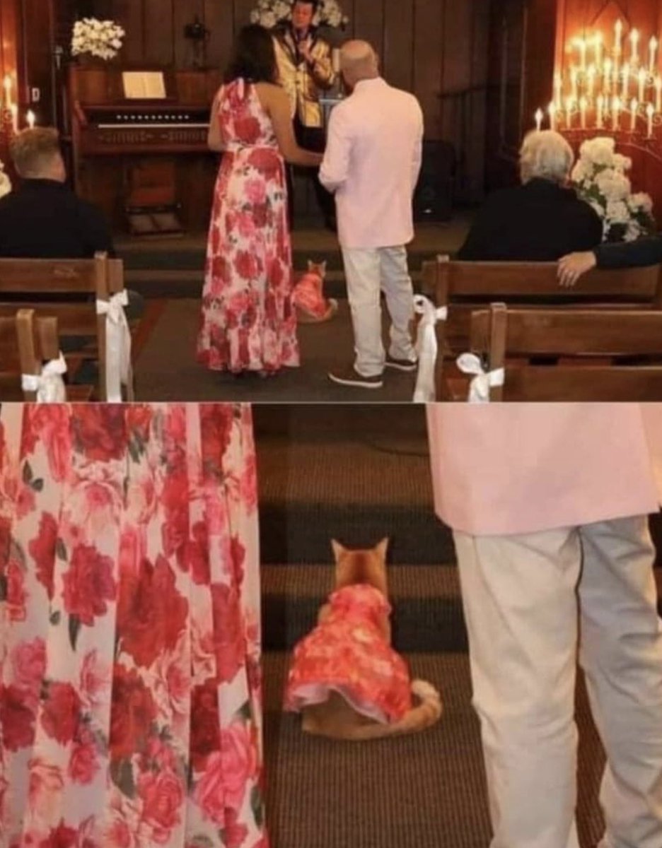 If my wedding isn’t exactly like this, I don’t want it