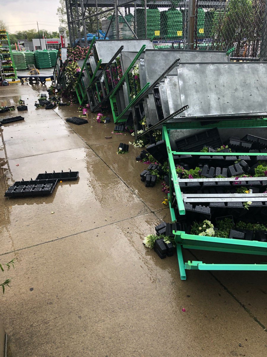 Liz White tweet media