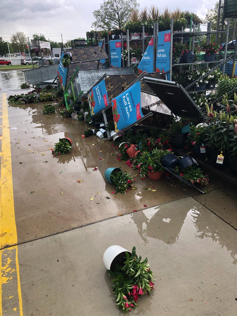 Liz White tweet media