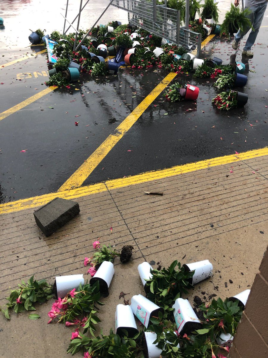 Liz White tweet media