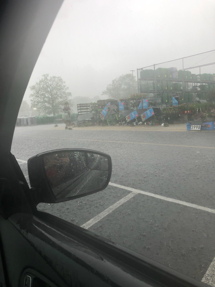 Liz White tweet media