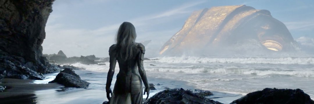 thank you chloe and co.