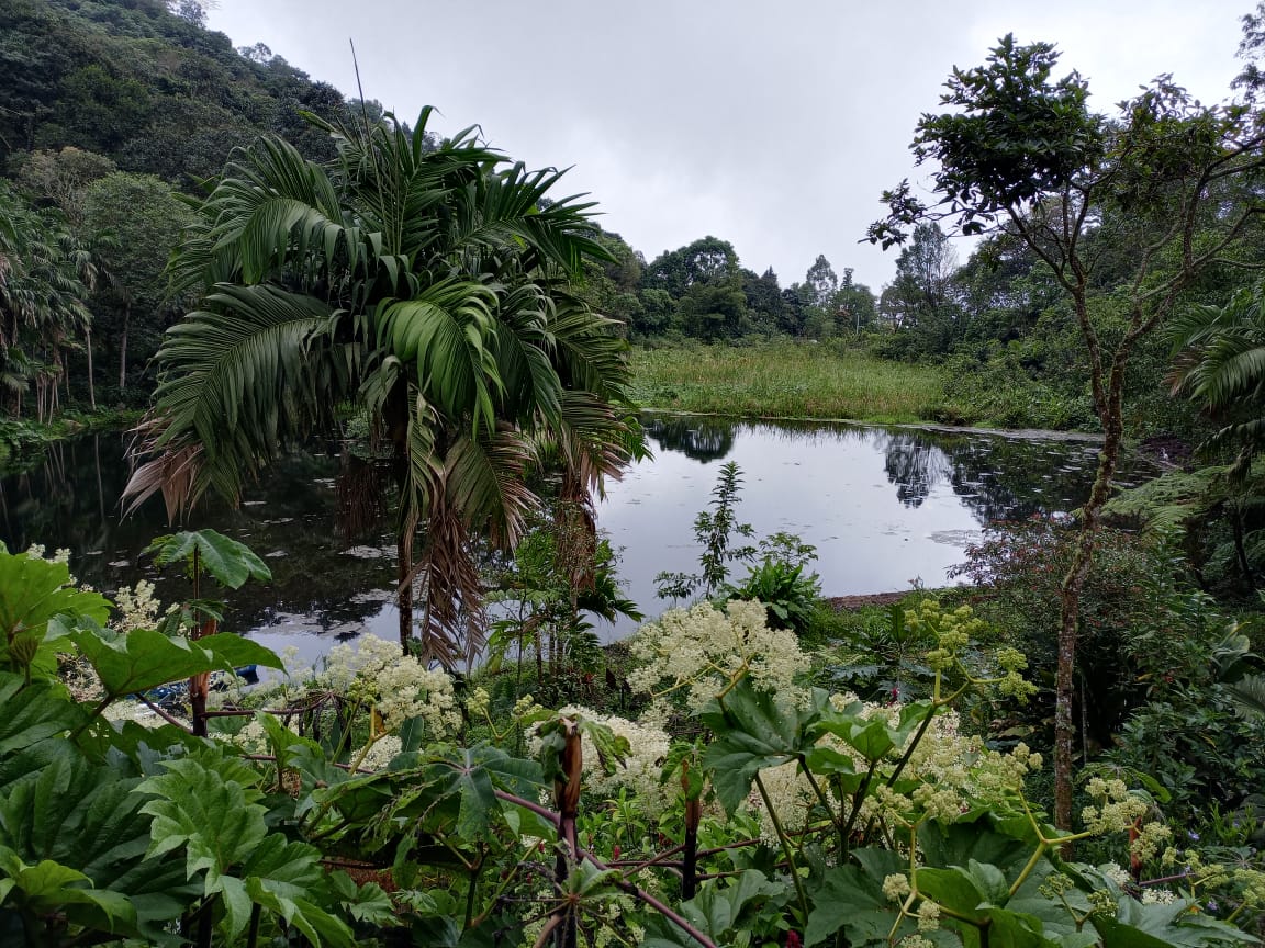 AlianzaSta's tweet photo. Aprendiendo sobre restauración ecológica de la Laguna Verde, entendemos que la conservación de un bosque, humedal o ecosistema requiere más que reemplazar árboles 🤨@AlianzaSta @AmarilysLlanos @luis_maestre77 @idea_un @MovNalAmbiental @STEunimagdalena @RedNalAguaCol @yennyrjunco https://t.co/Xuw4gSZNRq