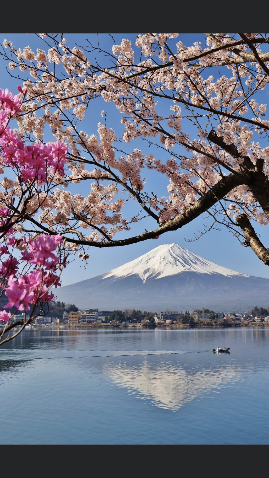 はじめ 5月15日 日 おはようtwitter 今日も元気にいくよー 今日は 国際家族デー 今日お誕生日の有名人は 瀬戸内寂聴さん 美輪明宏さん 美川憲一さん 藤原竜也さん 南明奈さん達です お仕事の人はエイエイオー お休みの人はゆっくりです Tl
