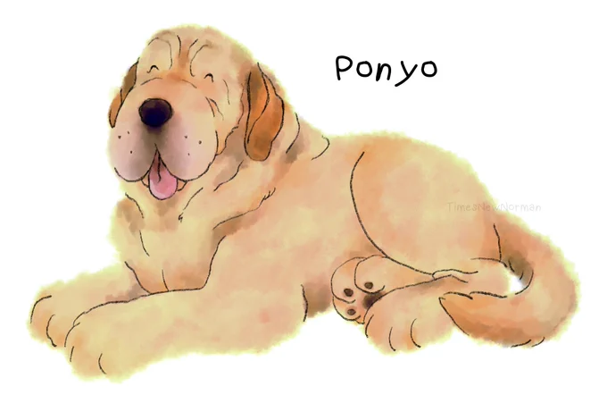 Some pet portraits I'll share here that I did for some patrons 🐶🐾💕 