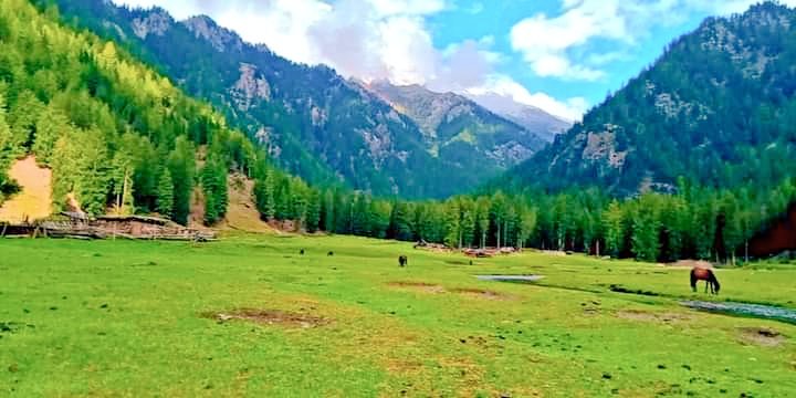 khadijaAkbar182's tweet photo. Shatimall meadows Khanari Valley Diamer GB ❤️
27km from KKH.. 
📷 Ishtaq Dareli
#explorediamer #chilas 
#Gilgitbaltistan https://t.co/p5RnL9uNIo