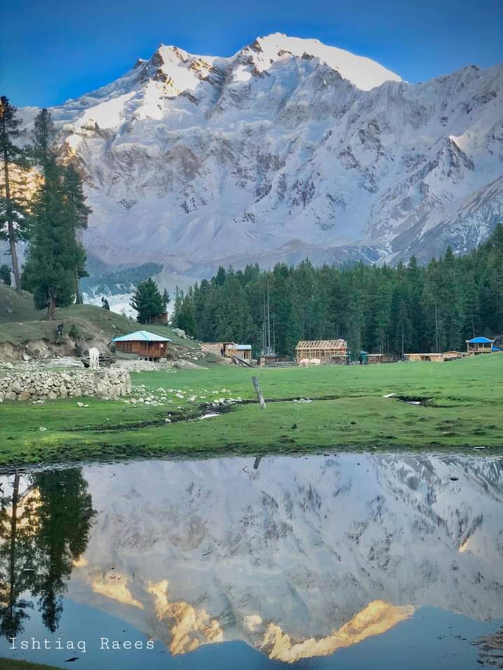 explorediamer's tweet photo. Fairy meadows and Nanga Parbat 2nd Peak in Pakistan
📍Diamer GB ❤️

📷 Ishtaiq Raees
#explorediamer #gilgitbaltistan
#chilas #diamer #Gb #exploreTheUnexplored
@Hafiz_Qureshii
@Rohshan_Din @Babusar_top @GB_Tourism_ @GilitBaltistan @Gilgittheheaven https://t.co/rIEz6393ti