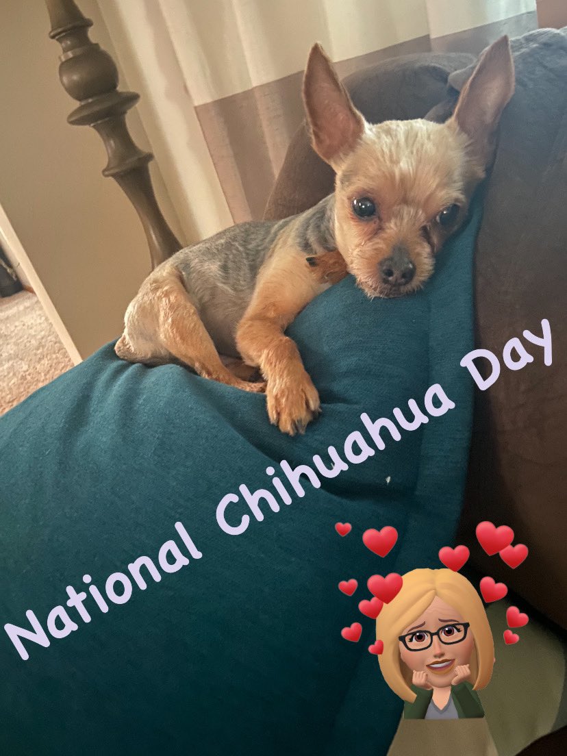 MarshaGears's tweet photo. 🐶🐾💙 https://t.co/i6kKE5SeLk