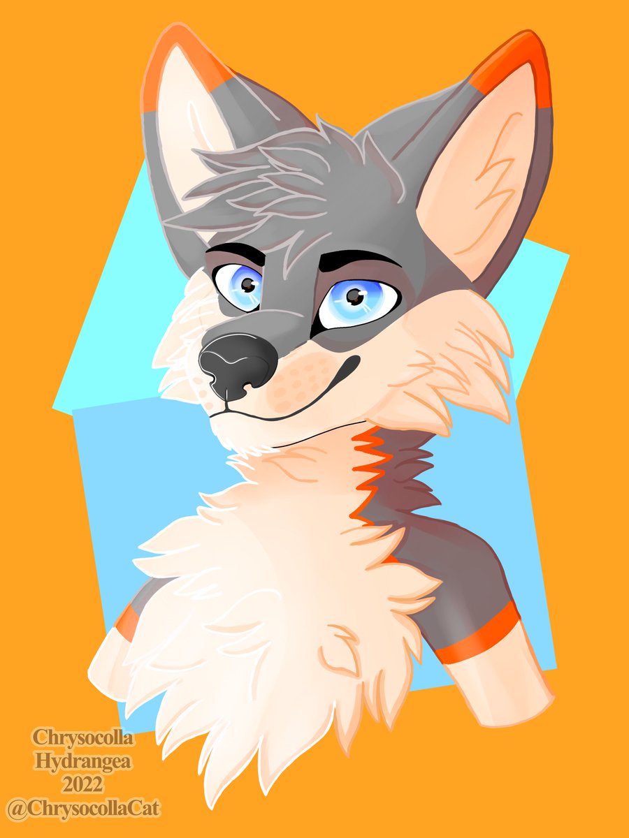 Gift for my friend <a href="/RENIT1/">renit</a> !!
#furry #art #furryart #digitalart