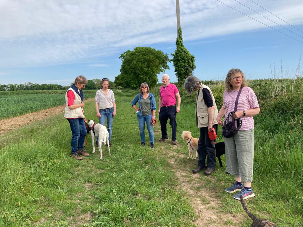 foxtrotters1066's tweet photo. Day 6 of our challenge for #MentalHealthAwarenessWeek for @mentalhealth the group were out #walking &amp; #running &amp; an early start for some + a 250 #Parkrun for Gary @thetfordparkrun &amp; we did @HovePromparkrun @UKRunChat @freeweeklytimed @QuitTheSitting @parkrunUK https://t.co/LjxieNx6za