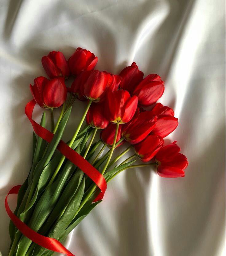 مساء الورد عليكم