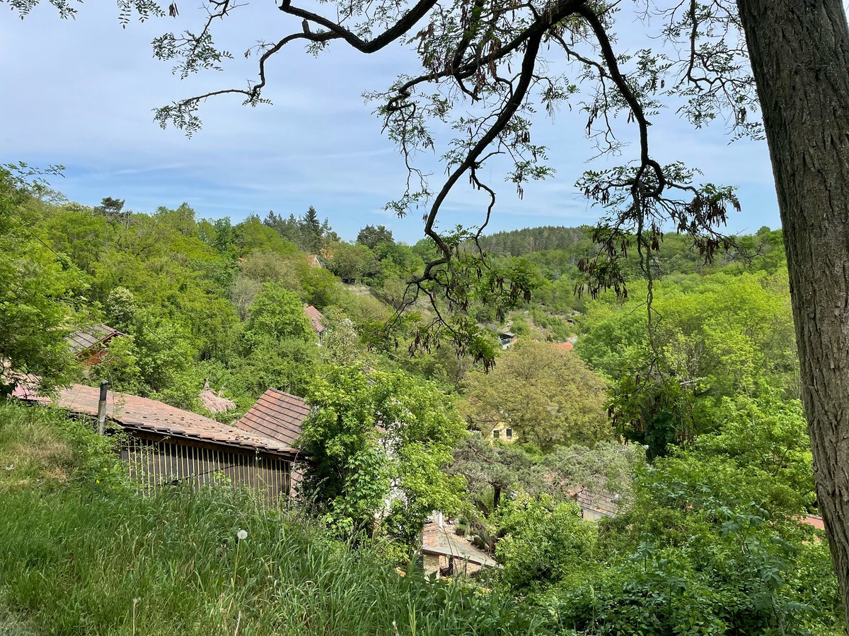 KnihyProDeti's tweet photo. Sobota… Roztoky- Levý Hradec-Řivnáč-Roztoky :) #tourism #turistika #pesky #walking #roztokyuprahy #vltava #blondyna #mundomendozova https://t.co/ccCe3qKLGj