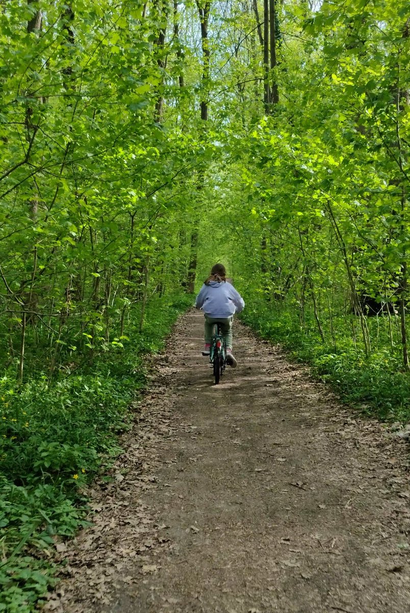 The market will forever go up and down but let's not forget the things that really matter in life... 

I don't need any ETH to go for a walk in the forest with my daughter