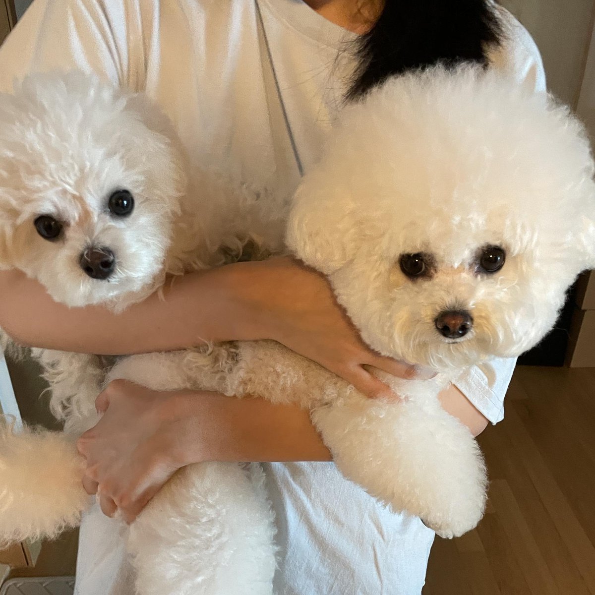 220503 #신비 유니버스 FNS

🐱 후..