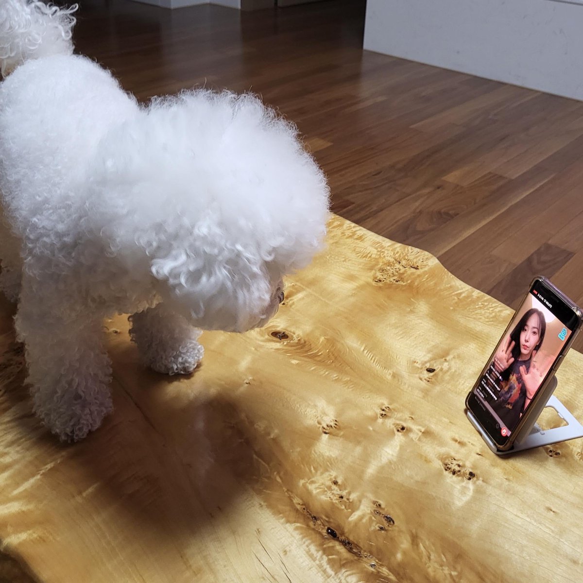 220512 #신비 유니버스 FNS

🐱 딸아 엄마 라이브 재밌지?