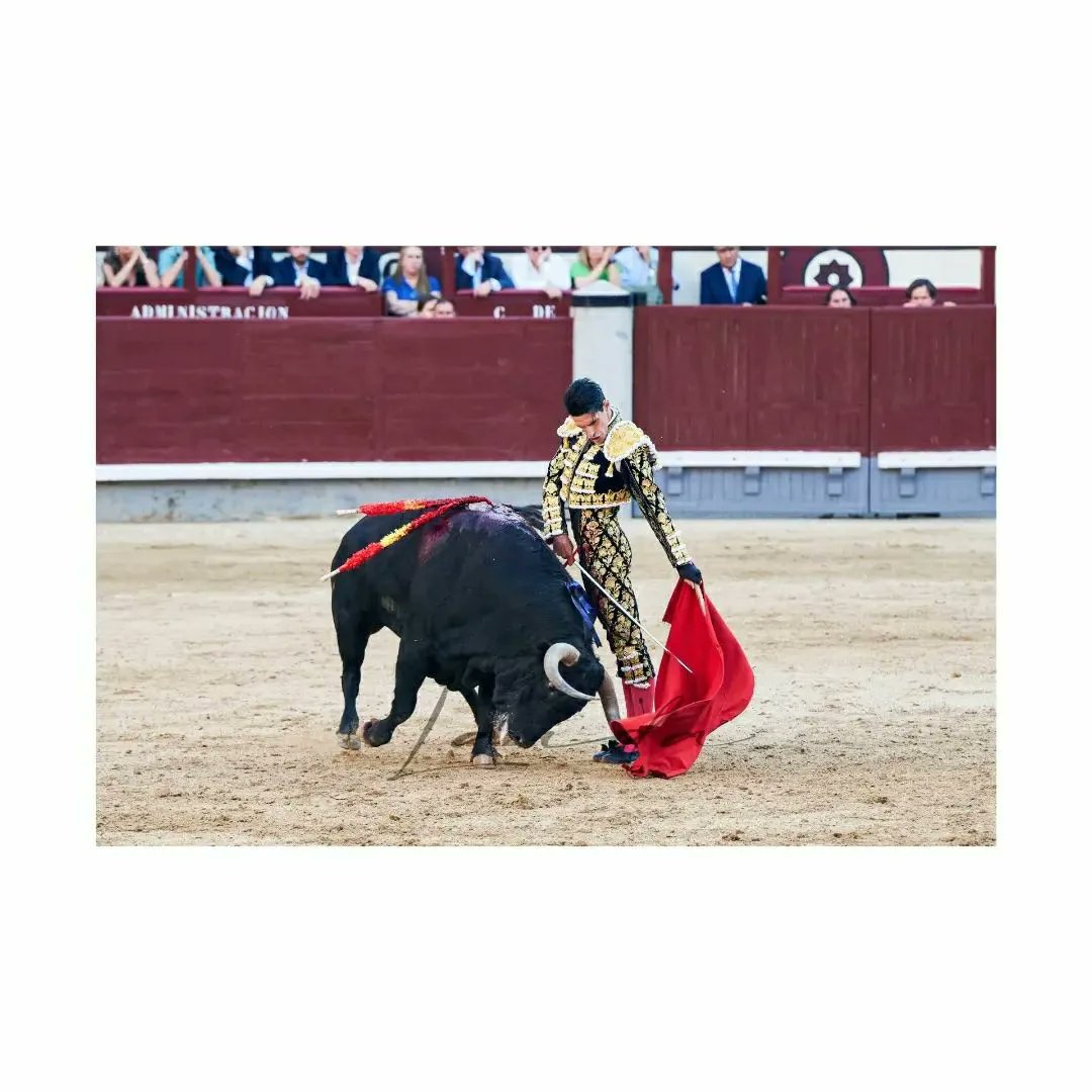 afitauro's tweet photo. Viernes de @aletalavante .

📷 @AnaLaidaa https://t.co/vkW7pheo3K