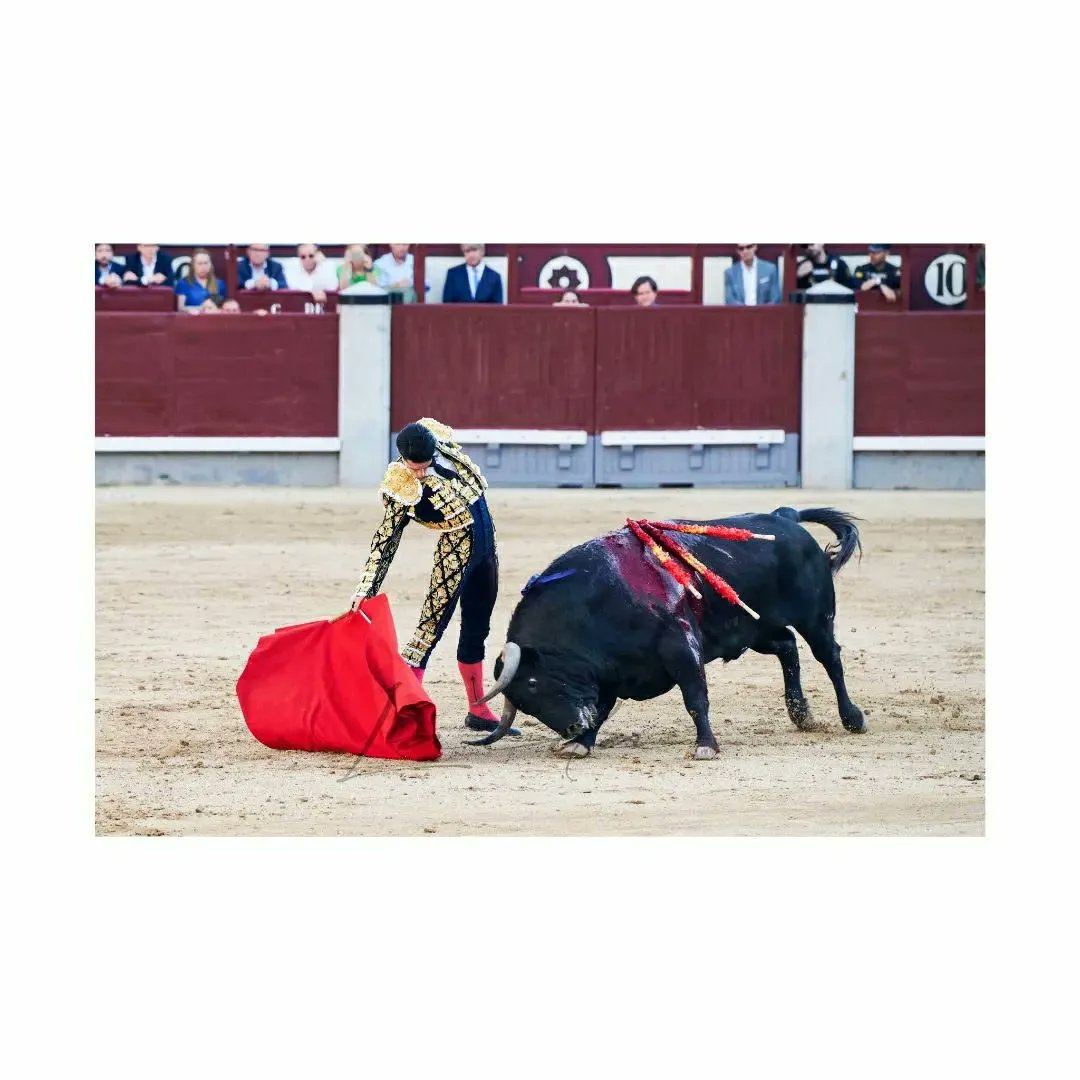 Viernes de <a href="/aletalavante/">Alejandro Talavante</a> .

📷 <a href="/AnaLaidaa/">Ana Laida</a>