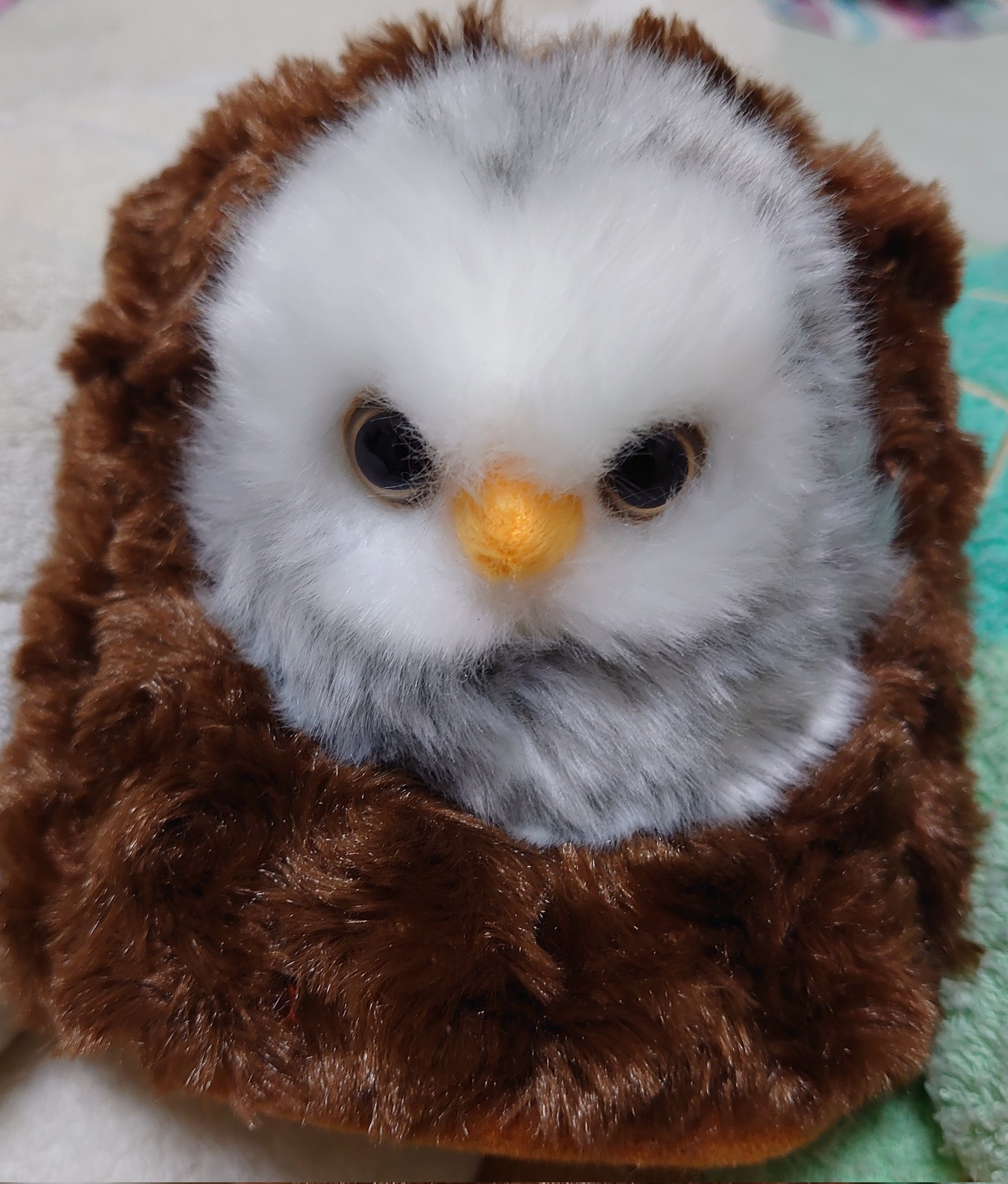 みみずく Mmzq G 配信でいってた掛川花鳥園でかったフクロウのぬいぐるみ 切り株部分から取り出せたりする T Co Dnsqdpni3a Twitter