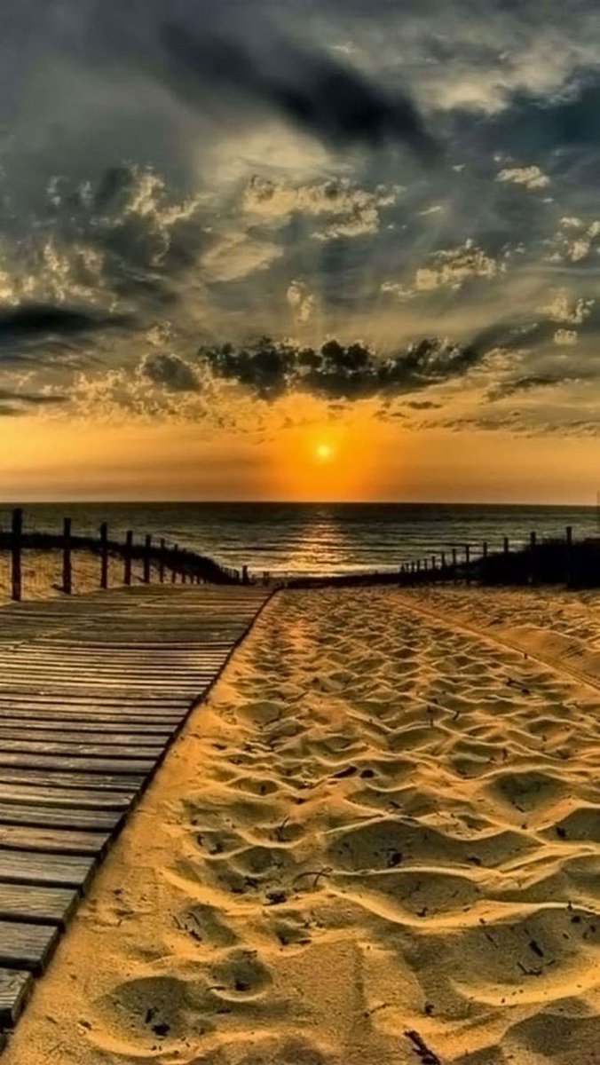 Daniella_C1804's tweet photo. Good evening 🌄 https://t.co/Ll84G4Oalz