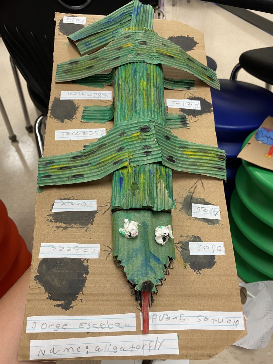 TheLexRamirez's tweet photo. PL projects are the best! I love seeing the insects our Gators created. ๐๐ #GardensElem #PisdElemPL https://t.co/SFAzqo0MkP