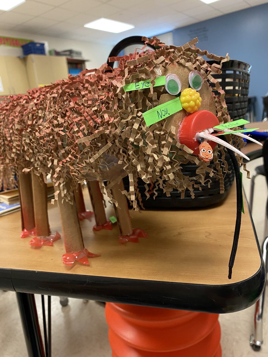 TheLexRamirez's tweet photo. PL projects are the best! I love seeing the insects our Gators created. ๐๐ #GardensElem #PisdElemPL https://t.co/SFAzqo0MkP