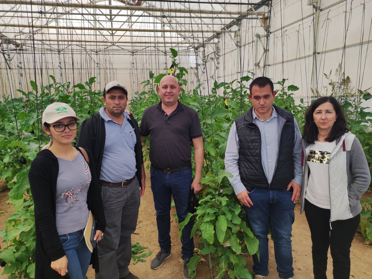 JavierGn13's tweet photo. La gira de estudio de @acodea_ nos lleva a Almería donde la cooperativa @unicagroup nos muestra sus instalaciones, invernaderos y avances tecnológicos. Con la financiación de @AECIDPARAGUAY https://t.co/bxZYUlpdcS