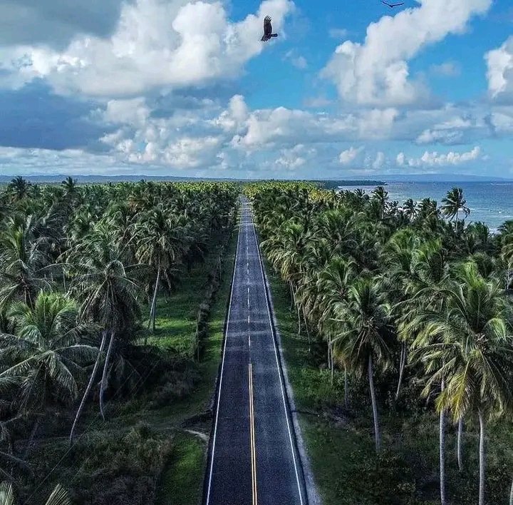 noticias24hra's tweet image. La #BellezaRD carretera NAGUA_CABRERA.