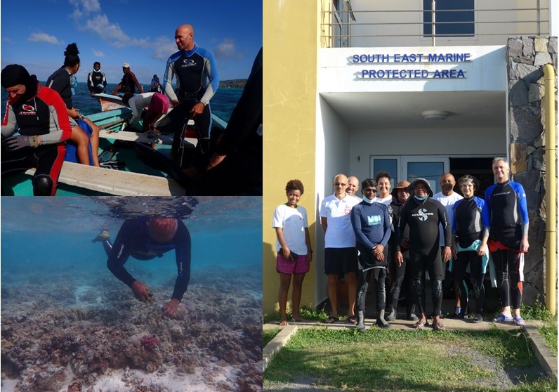 Entropie - Tropical Marine Ecology Lab. tweet media