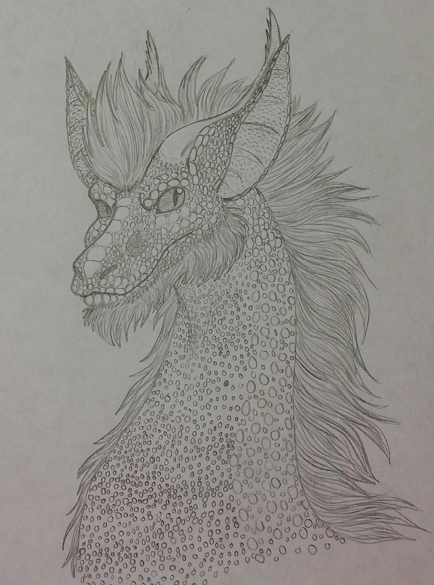 Asheldyr's tweet photo. An old dragon sketch, 2017 #dragons  #Dragon Hype for #Dragonflight https://t.co/QONWFfuwFA