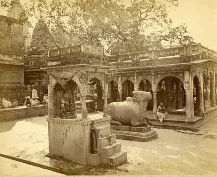 RLPANDEY16's tweet photo. काशी विश्वनाथ मंदिर के विस्तार में कॉरिडोर का हिस्सा बना लेकिन ये तस्वीर उसी नंदी की है जो सालों तक अपने महादेव की ओर मुंह करके मंदिर के पुनरुत्थान की प्रतीक्षा कर रहे है
350 साल से अपने महादेव की प्रतीक्षा करते इस नंदी की प्रतीक्षा अब समाप्त होने को है
हर-हर महादेव 🙏🚩 https://t.co/wEhDEfzJ2y