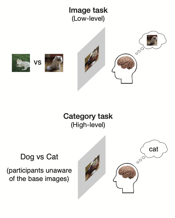 laucaplette's tweet photo. Come see our VSS poster #36.343 tomorrow PM! We extend our previous method to now uncover the level of abstraction of visual representations in different tasks/contexts. #VSS2022 https://t.co/HX26BWWV63