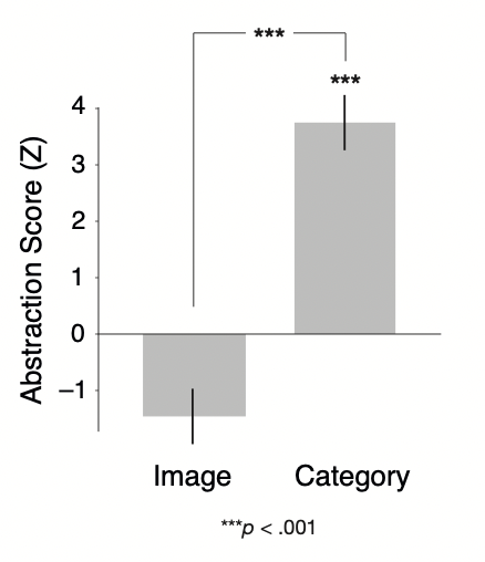 laucaplette's tweet photo. Come see our VSS poster #36.343 tomorrow PM! We extend our previous method to now uncover the level of abstraction of visual representations in different tasks/contexts. #VSS2022 https://t.co/HX26BWWV63