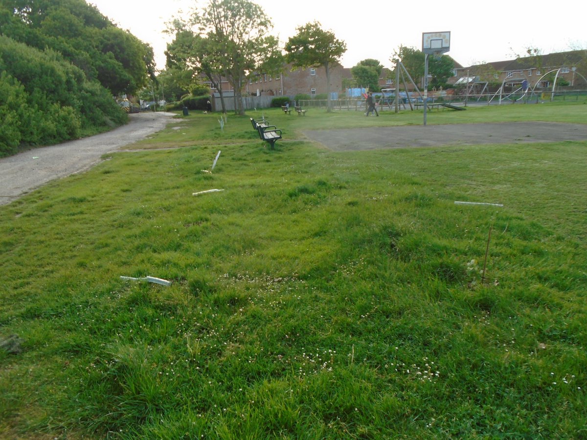 SaveHayling's tweet image. Sad news of unfortunate criminal damage to saplings at #MenghamPark #HaylingIsland. (Not my photos) @HaylingPolice